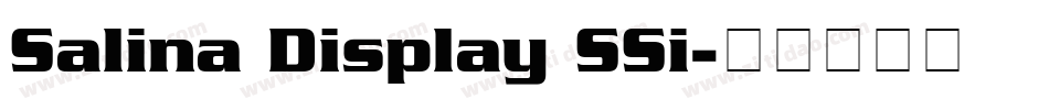 Salina Display SSi字体转换